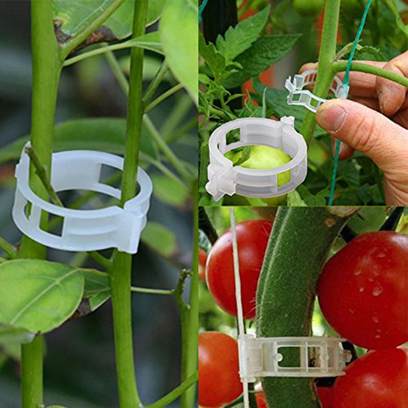 🍅🍅【200 kosov】🌱Sponka za pritrditev sadik