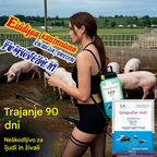 🦟【Kupite 5, prejmete 5 gratis! Paket 10 vrečk】Za dom, dvorišče in kmetijo – učinkovito proti muham in komarjem